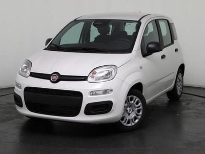 Neu Fiat Panda 69 PS (50 kW) 2025 Weiß, weiß uni Kleinwagen