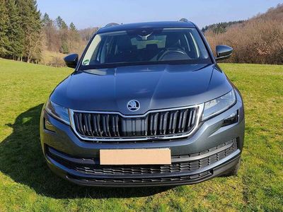 gebraucht Skoda Kodiaq Style 2.0 TDI 110 kW DSG Getriebe