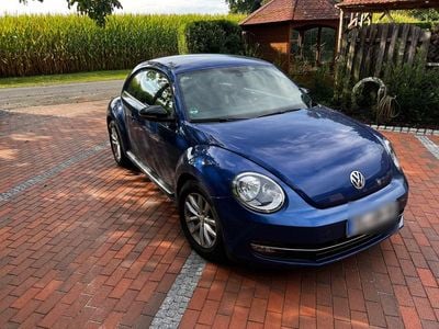 VW Beetle