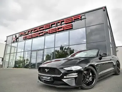 Gebraucht Ford Mustang Premium 290 PS (213 kW) 2019 Schwarz Cabrio