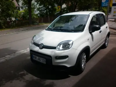 Gebraucht Fiat Panda 69 PS (50 kW) 2024 Weiß Kleinwagen