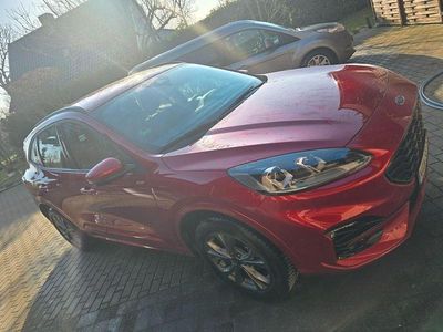 Gebraucht Ford Kuga ST-Line 224 PS (164 kW) 2024 Rot SUV