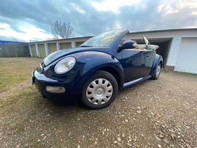 VW Beetle