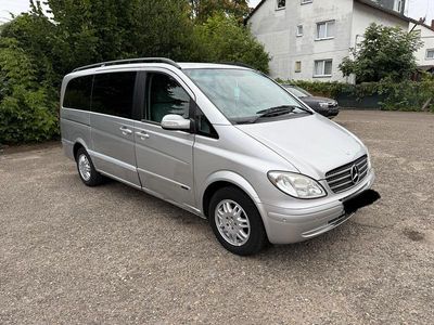 Mercedes Viano