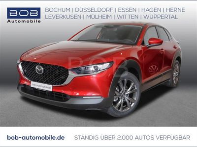 gebraucht Mazda CX-30 G 122 Exclusive-Line DASO DESI