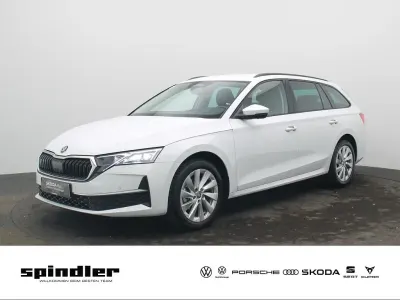 Gebraucht Skoda Octavia Selection 150 PS (110 kW) 2025 Moonweiss metallic Kombi