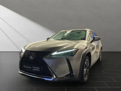Gebraucht Lexus UX 250h 184 PS (135 kW) 2023 Silber SUV