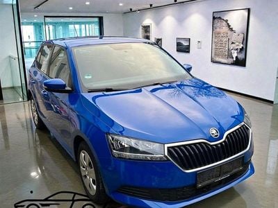 Gebraucht Skoda Fabia Ambition 110 PS (80 kW) 2019 Blau Kleinwagen