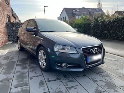 gebraucht Audi A3 1.6 TDI (DPF) 77kW KLIMA - ALU - TEMPOMAT