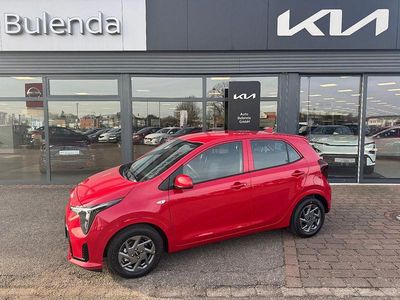 Neu Kia Picanto Vision 68 PS (50 kW) 2026 Rot Kleinwagen