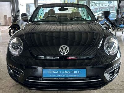 VW Beetle