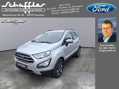Gebraucht Ford Ecosport Cool & Connect 125 PS (91 kW) 2019 Polarsilber metallic SUV