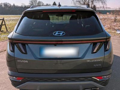 Gebraucht Hyundai Tucson Trend 230 PS (169 kW) 2023 Grau SUV