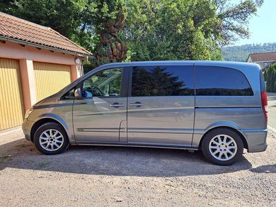 Mercedes Viano