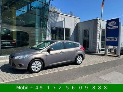 Usata Ford Focus Trend 101 CV (74 kW) 2014 Marrone Berlina
