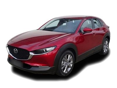 gebraucht Mazda CX-30 2.0l Skyactiv-X Selection Navi Kamera Head-up NEUWAGEN