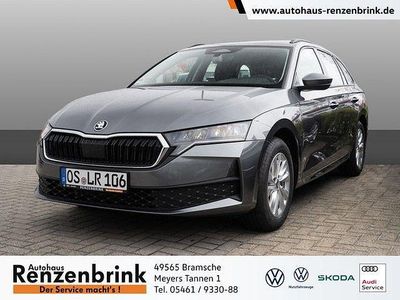 Gebraucht Skoda Octavia Essence 116 PS (85 kW) 2026 Grau Kombi