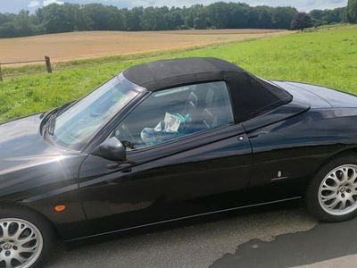 Alfa Romeo Spider