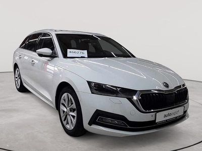 Gebraucht Skoda Octavia First Edition 150 PS (110 kW) 2020 Candyweiß uni Kombi