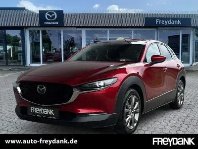 Gebraucht Mazda CX-30 Selection 180 PS (132 kW) 2019 Rot SUV
