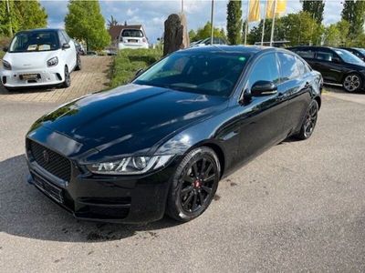 gebraucht Jaguar XE Pure 20t Aut. Bi-Xenon SHZ PDC