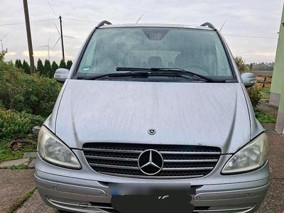 Mercedes Viano