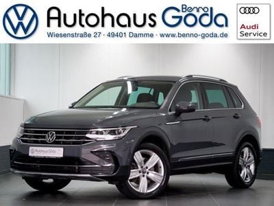 Delfingrau (metallic) Gebraucht 2020 VW Tiguan Elegance SUV | 31.950 € (Teuer)