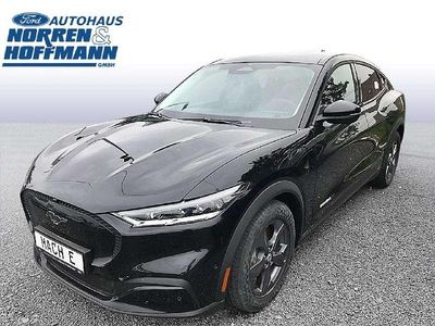 Gebraucht Ford Mustang Mach-E Basis 216 kW (294 PS) 2023 Iridiumschwarz metallic SUV