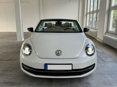 VW Beetle