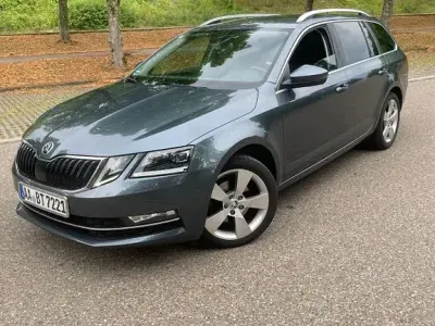 Gebraucht Skoda Octavia Clever 150 PS (110 kW) 2018 Grau Kombi