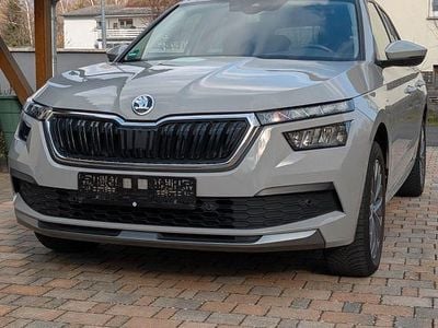 Gebraucht Skoda Kamiq Clever 110 PS (80 kW) 2021 Grau SUV