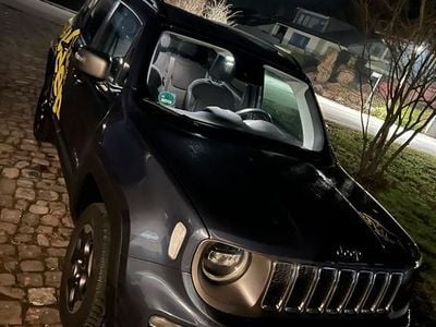 Blau Gebraucht 2020 Jeep Renegade Limited SUV | 22.300 € (Teuer)