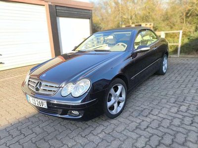 Gebraucht Mercedes CLK280 Elegance 231 PS (169 kW) 2009 Cabrio