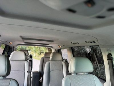 Mercedes Viano
