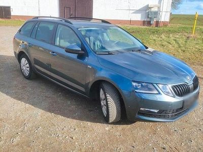 Gebraucht Skoda Octavia Soleil 150 PS (110 kW) 2019 Grau Kombi