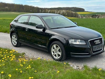 gebraucht Audi A3 1.6 TÜV neu Zahnriehmen neu Service neu reifen neu