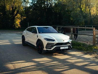 Gebraucht Lamborghini Urus 650 PS (478 kW) 2019 Weiß SUV