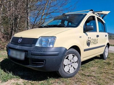 Usata Fiat Panda 54 CV (39 kW) 2009 Giallo Utilitaria