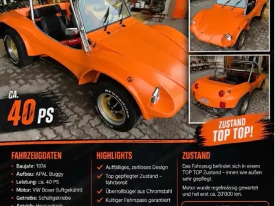Gebraucht Apal Jet 40 PS (29 kW) 1974 Orange