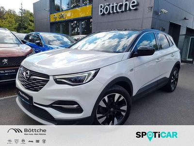 Weiß Gebraucht 2020 Opel Grandland X Innovation SUV | 17.780 € (Fairer Preis)