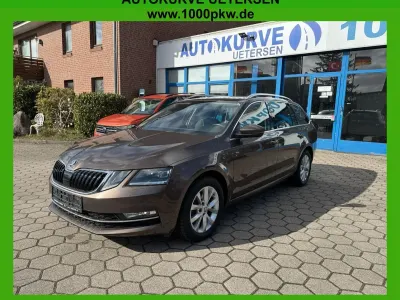 Gebraucht Skoda Octavia Style 150 PS (110 kW) 2020 Braun Kombi