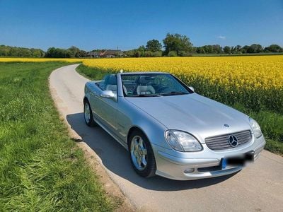 Usata Mercedes SLK230 231 CV (169 kW) 2002 Argento Cabrio