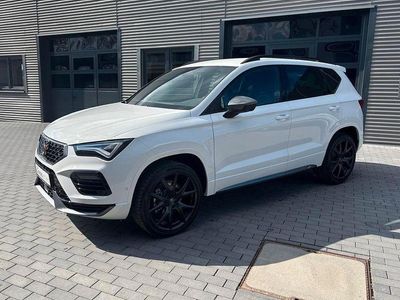 Nuova Cupra Ateca 150 CV (110 kW) 2026 Bianco SUV