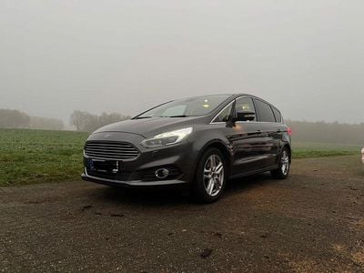 Grau Gebraucht 2019 Ford S-MAX Titanium Van / Kleinbus | 11.000 € (Guter Preis)