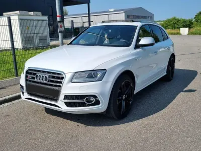 Usata Audi SQ5 Sport 313 CV (230 kW) 2014 Bianco SUV