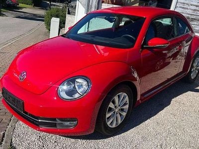 VW Beetle