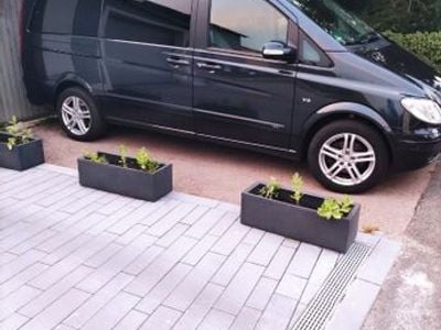 Mercedes Viano