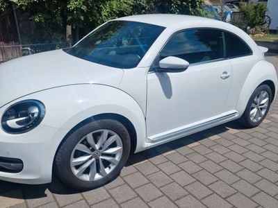 VW Beetle