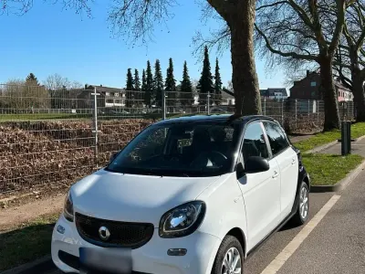 Occasion Smart ForFour Electric Drive