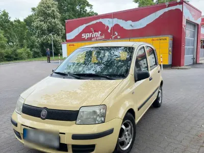 Używany Fiat Panda 54 KM (39 kW) 2009 Żółty Hatchback